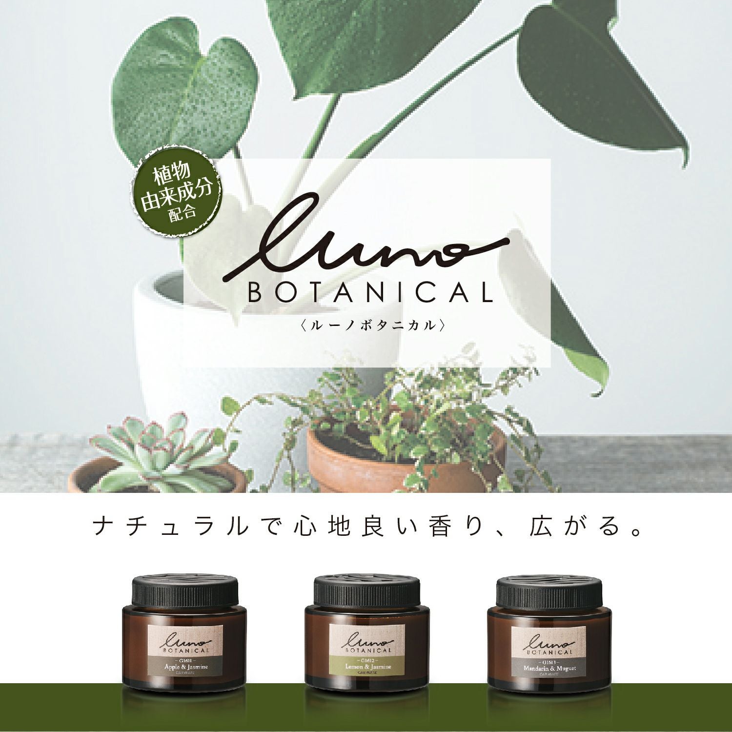 G1611 ルーノ ゲル ボタニカル アップル&ジャスミン | カーメイト 公式