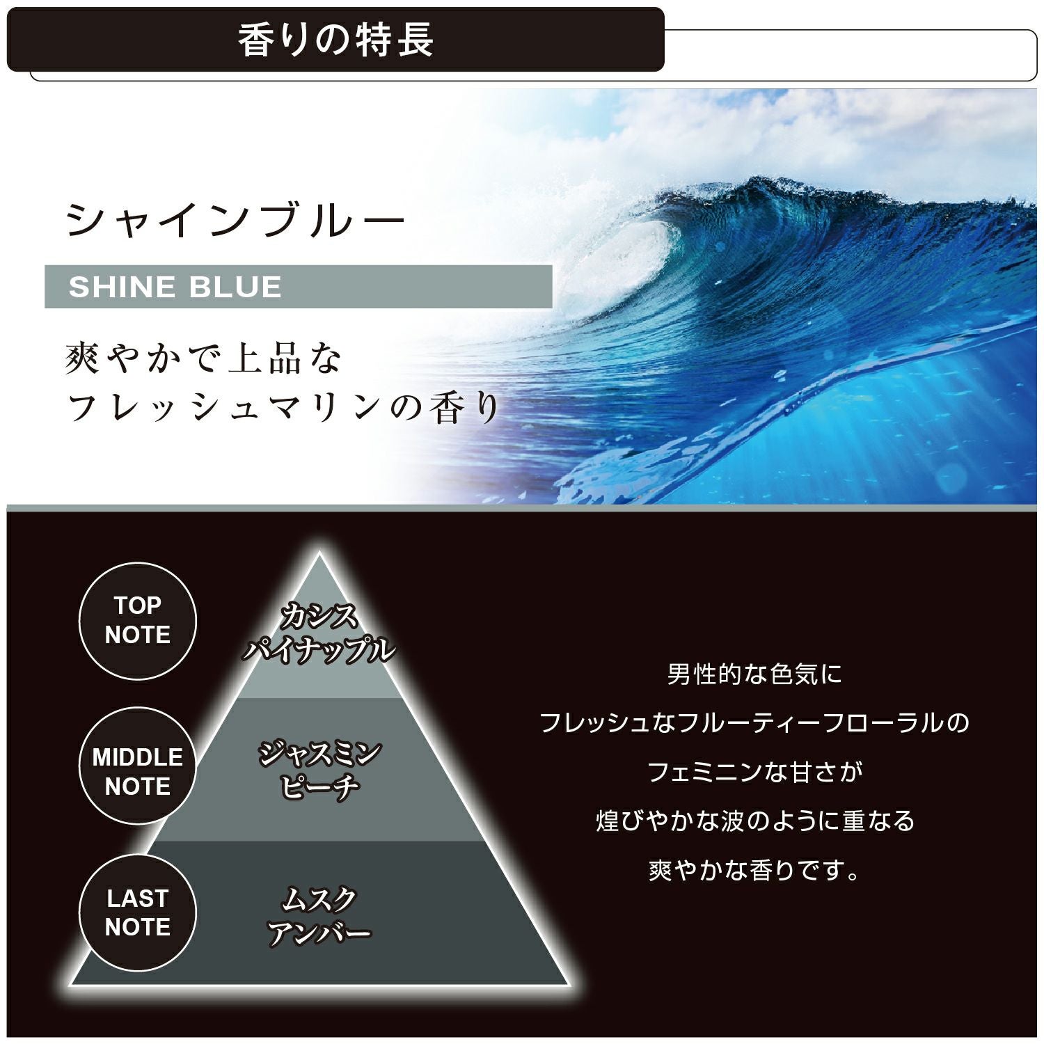 L737 ブラング パワーリキッドC シャインブルー | カーメイト 公式 L737 ブラング パワーリキッドC シャインブルー | カーメイト 公式