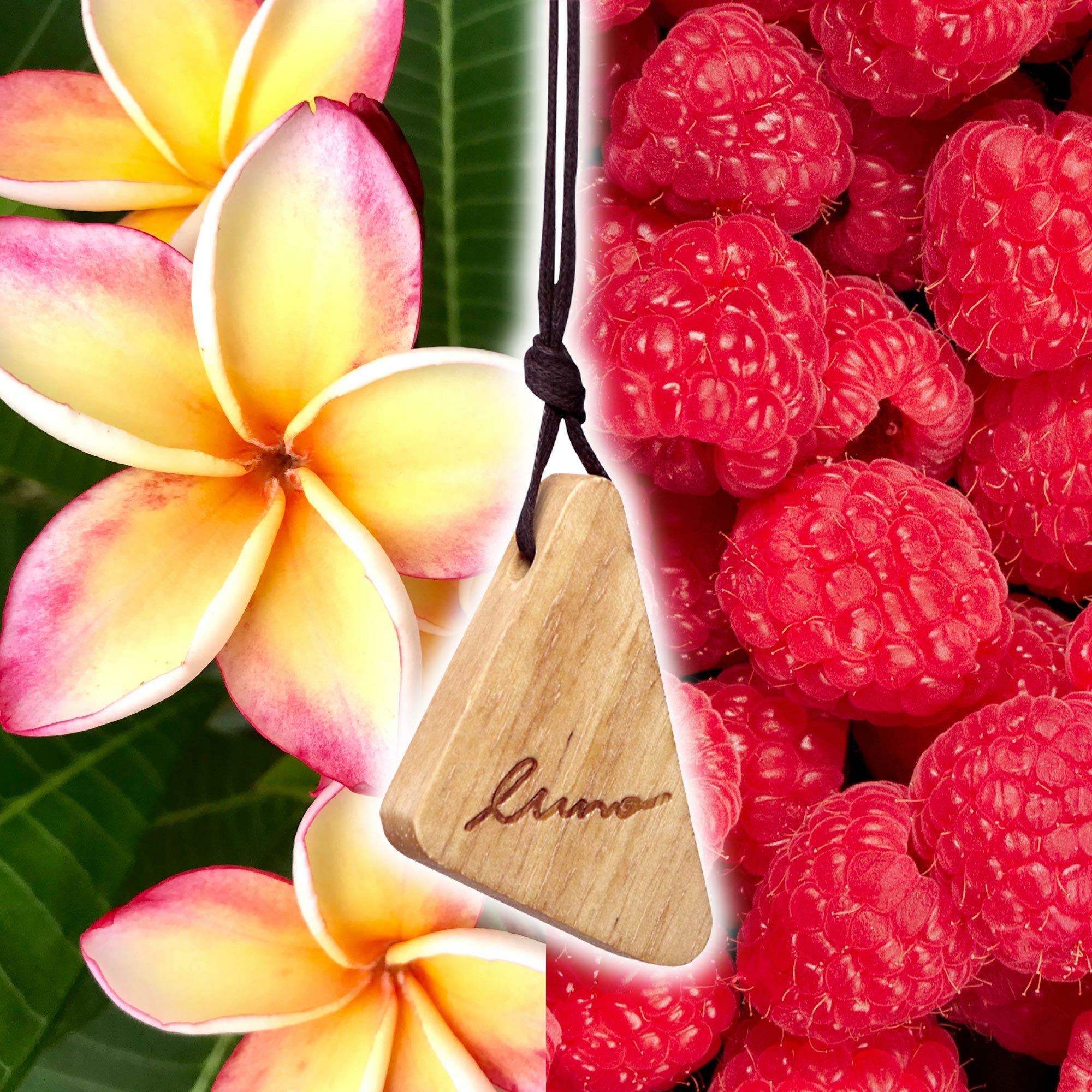 H613 ルーノ ハンギングウッド プルメリア&ラズベリー | カーメイト