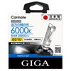 カーメイト ギガ GHB260N パーフェクトスカイ D2R/Sバーナー hid giga carmate