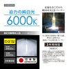 カーメイト ギガ GHB260N パーフェクトスカイ D2R/Sバーナー hid giga carmate