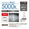 カーメイト BD1129N ザ・ブループラス5000K H11 giga carmate
