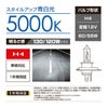 カーメイト BD429N ザ・ブループラス5000K H4 giga carmate