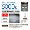 カーメイト BD529N ザ・ブループラス5000K HIR2 giga carmate
