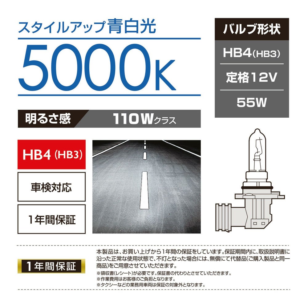 カーメイト BD629N ザ・ブループラス5000K HB4/3 giga carmate