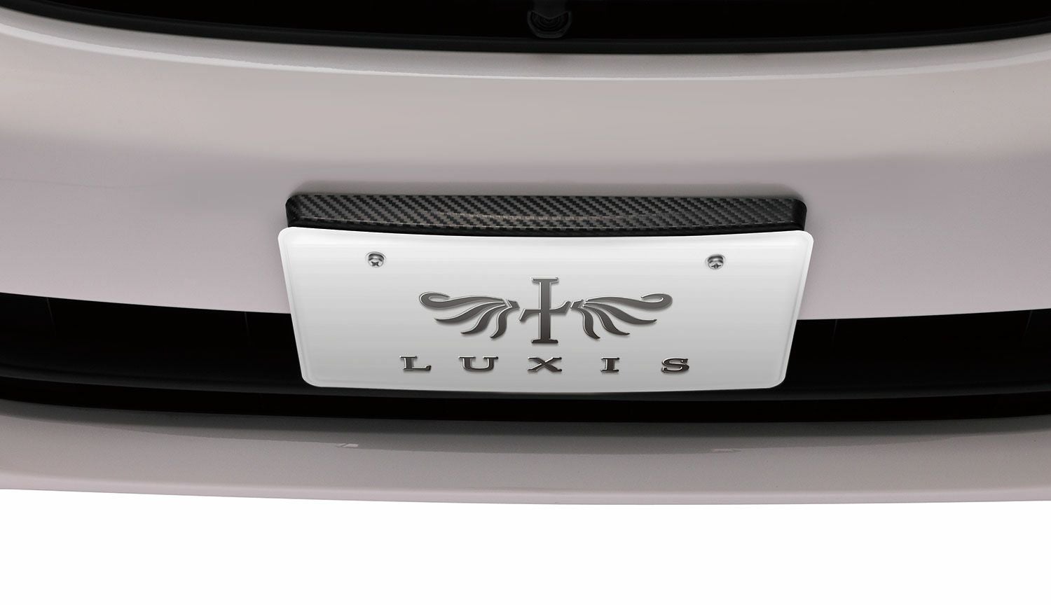 LS398 LUXIS ナンバーステー カーボンルック2 | カーメイト 公式