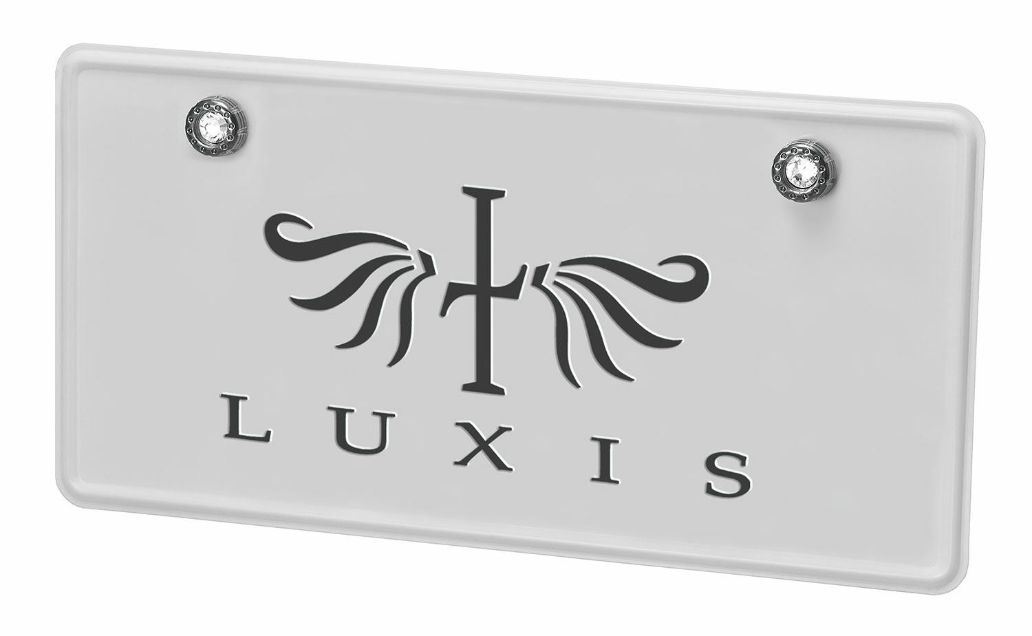 LS417 LUXIS セキュリティボルト&キャップクリスタルBKメッキ