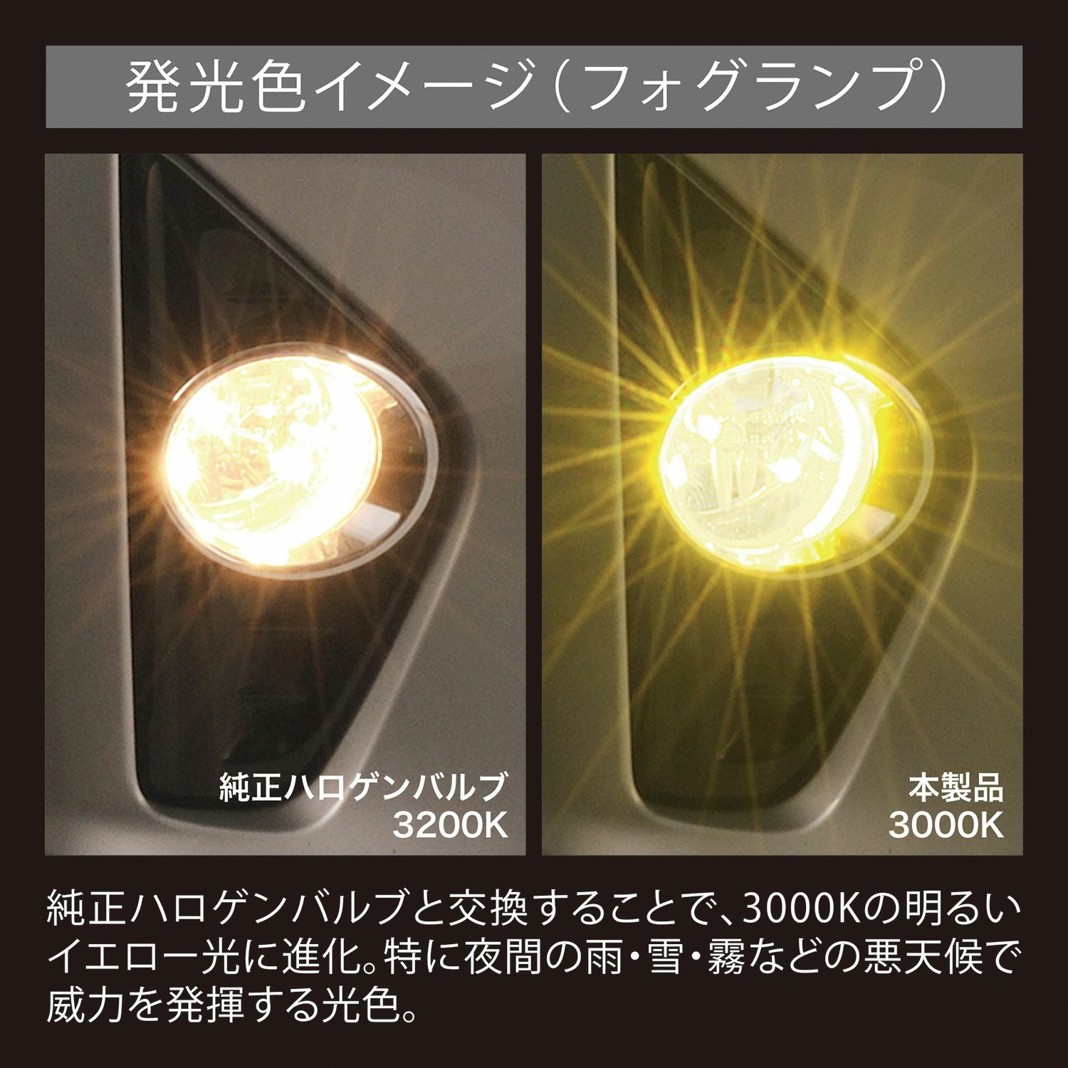 000000001742-04.jpg?size=l&w=