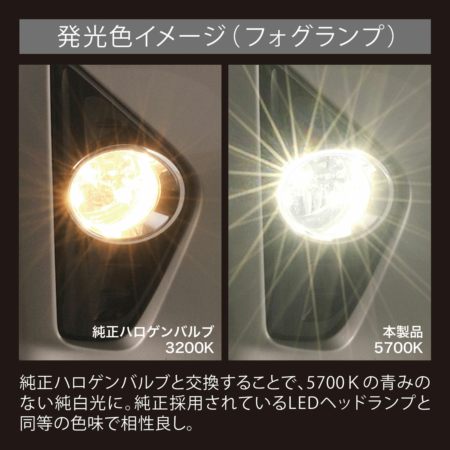 000000001749-04.jpg?size=l&w=