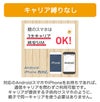 カーメイト DX900 coneco (コネコ) お子様みまもり用GPS端末 carmate