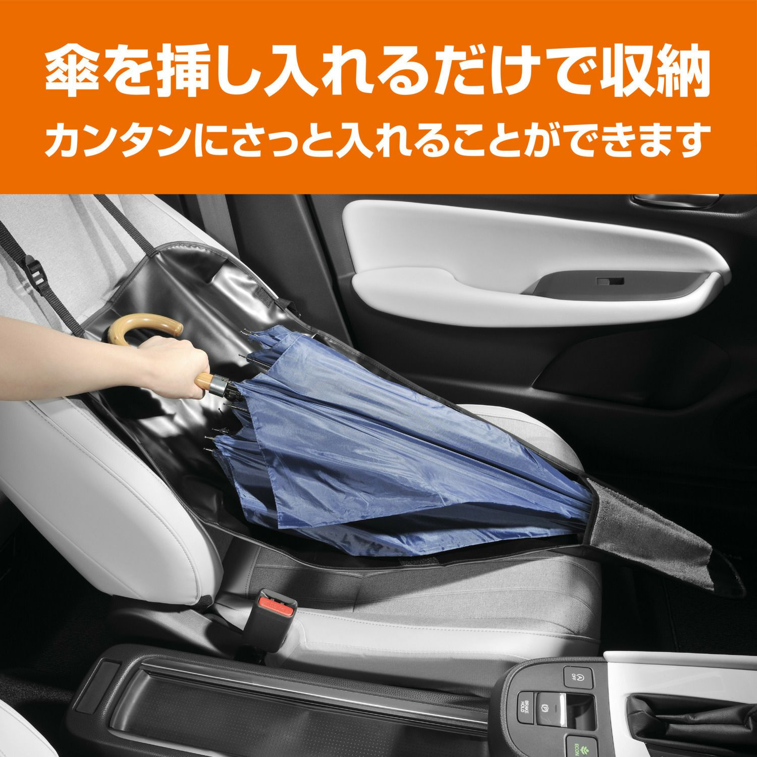000000003675-09.jpg?size=l&w=