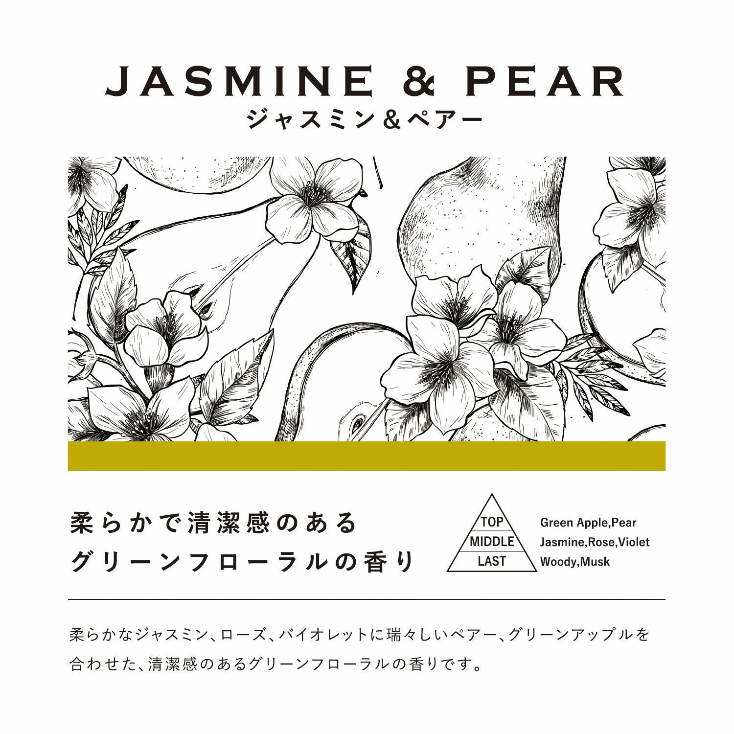 DH562 ブラングナチュラル リードディフューザー ジャスミン＆ペアー