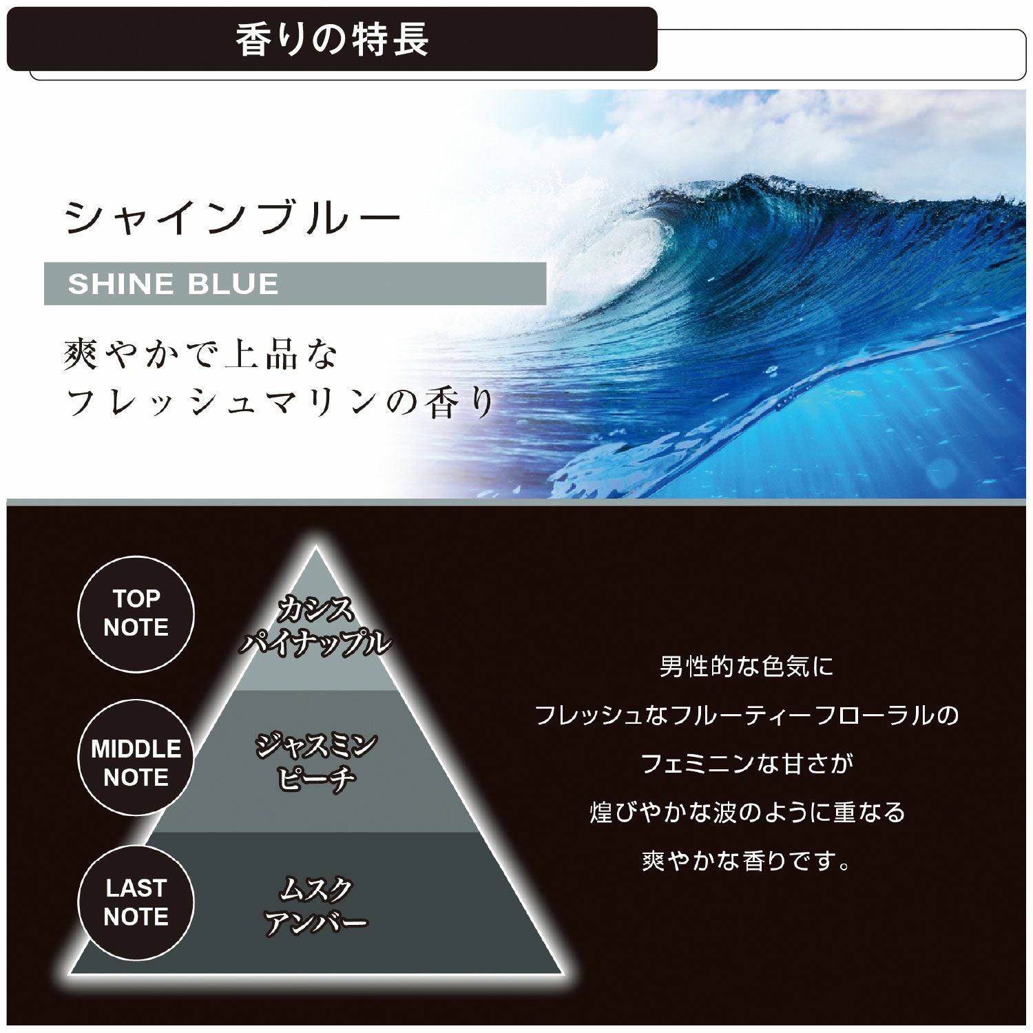 L973 ブラング リキッド CR TALL シャインブルー | カーメイト 公式