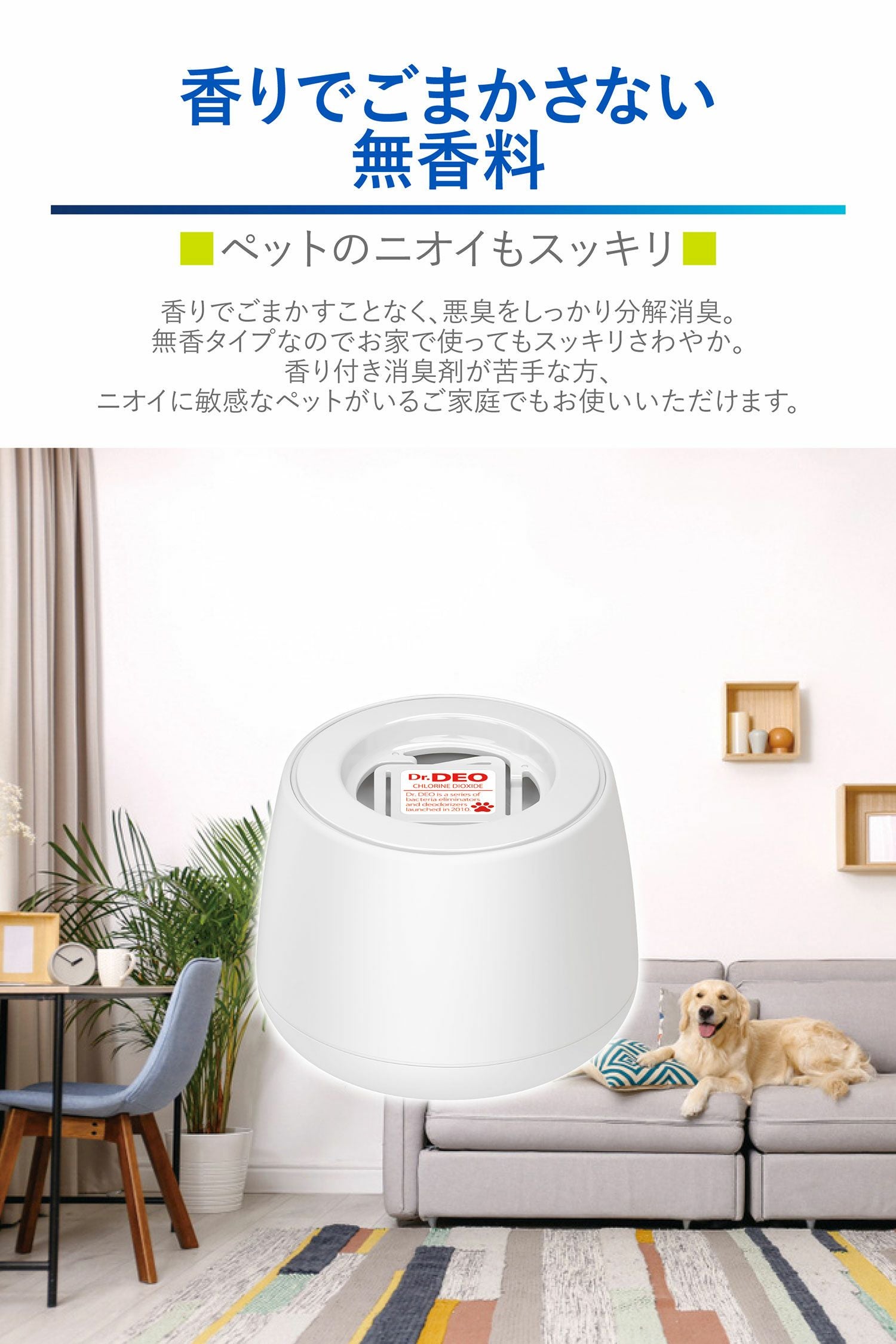 Drケトン　60粒入り　2セット 東海道新幹線開業60周年記念『新幹線0系イタリアンレザー長財布