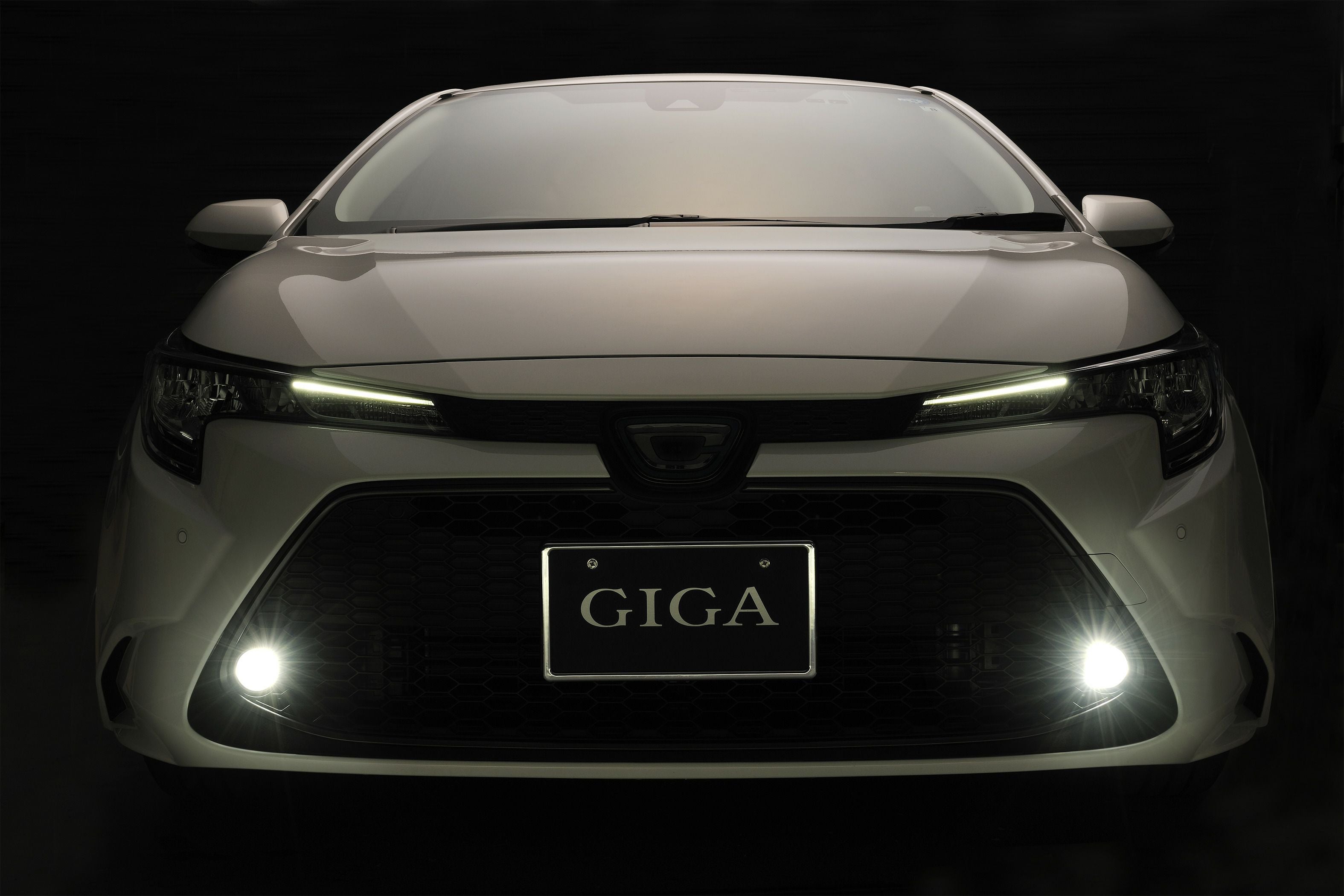 BW583 GIGA LEDフォグバルブ S3500GSD 6000K/3000K 3500lm