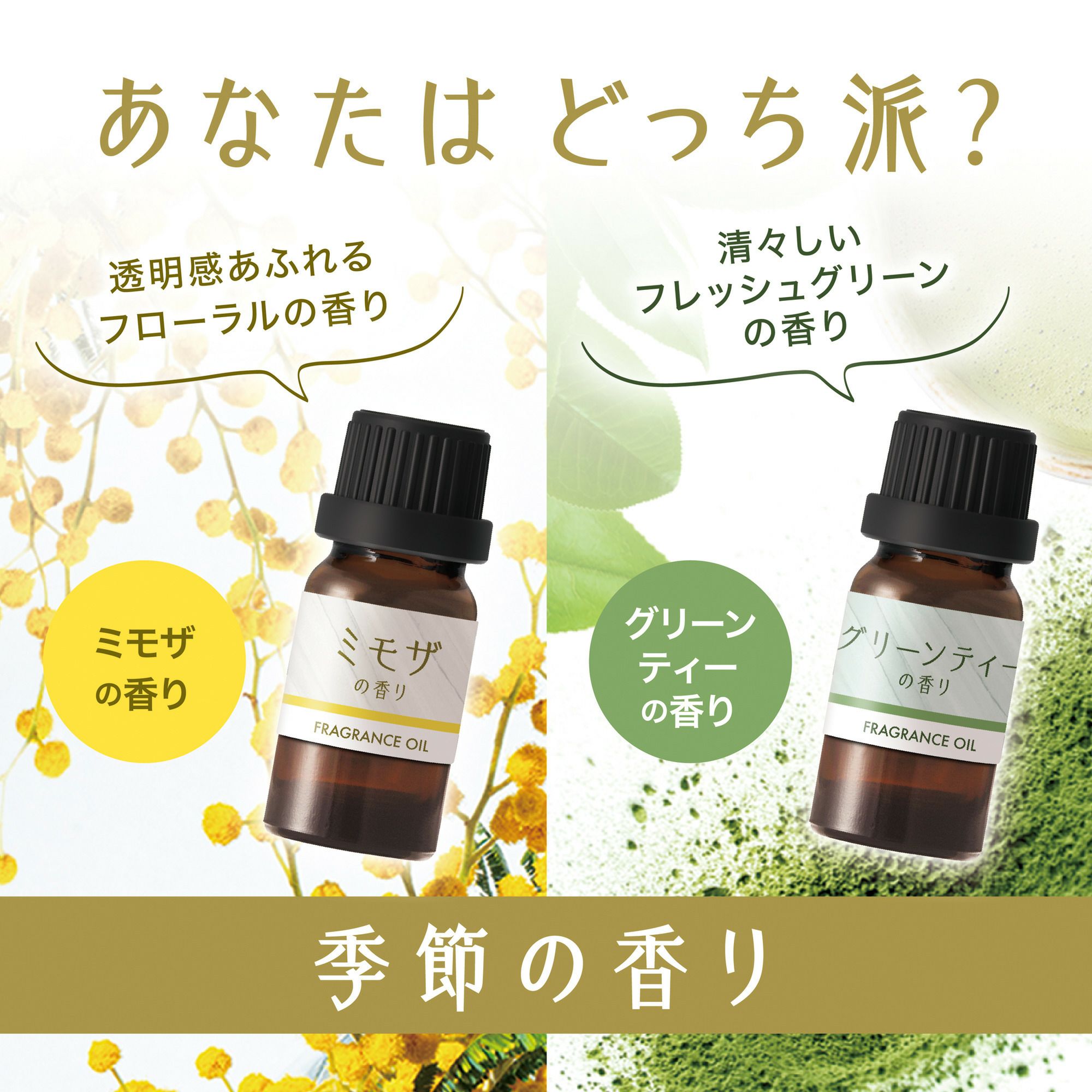 L10079 噴霧式ディフューザー専用オイル 季節の香り ミモザの香り