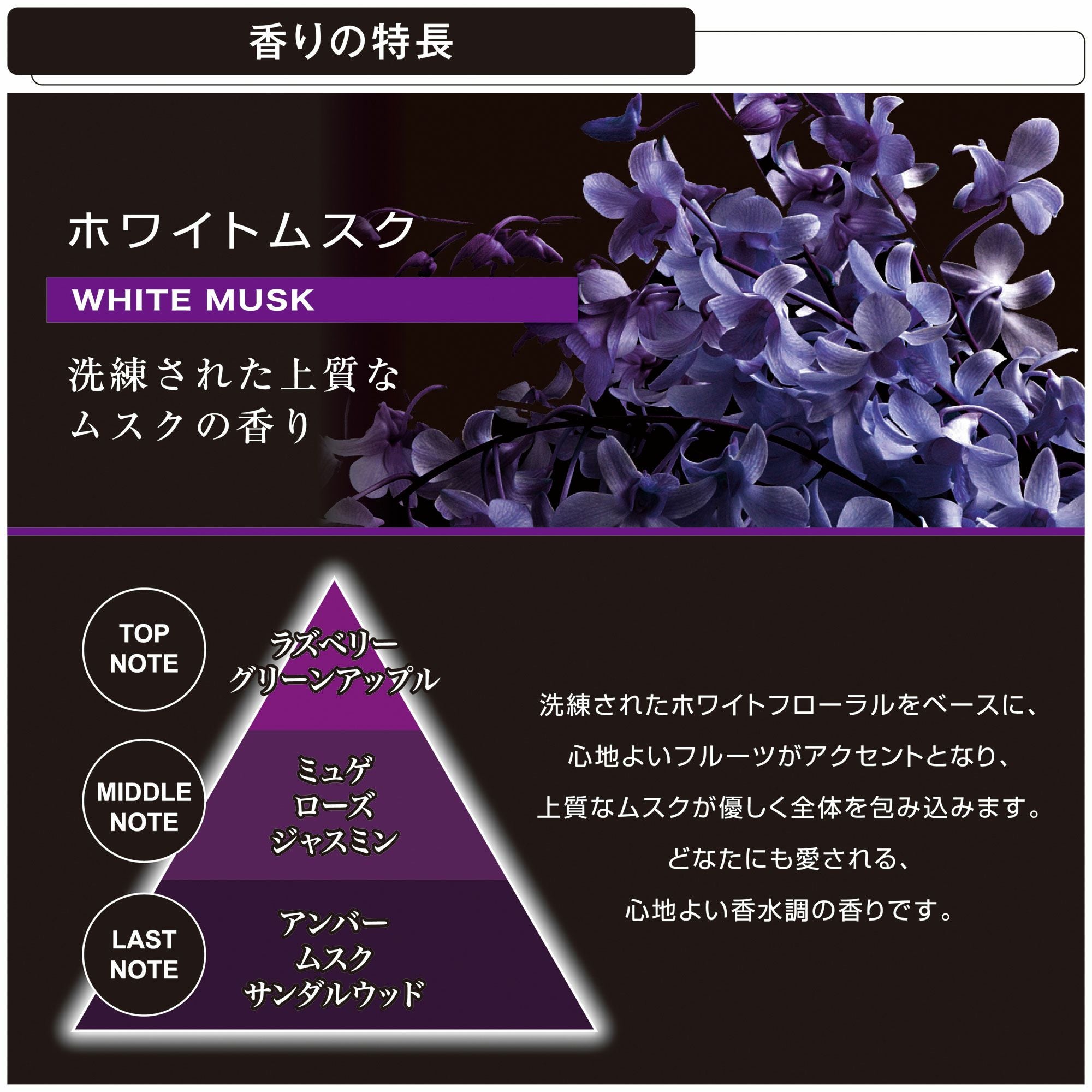 H1691 ブラング エアスティック 1フィンフィット 2P ホワイトムスク