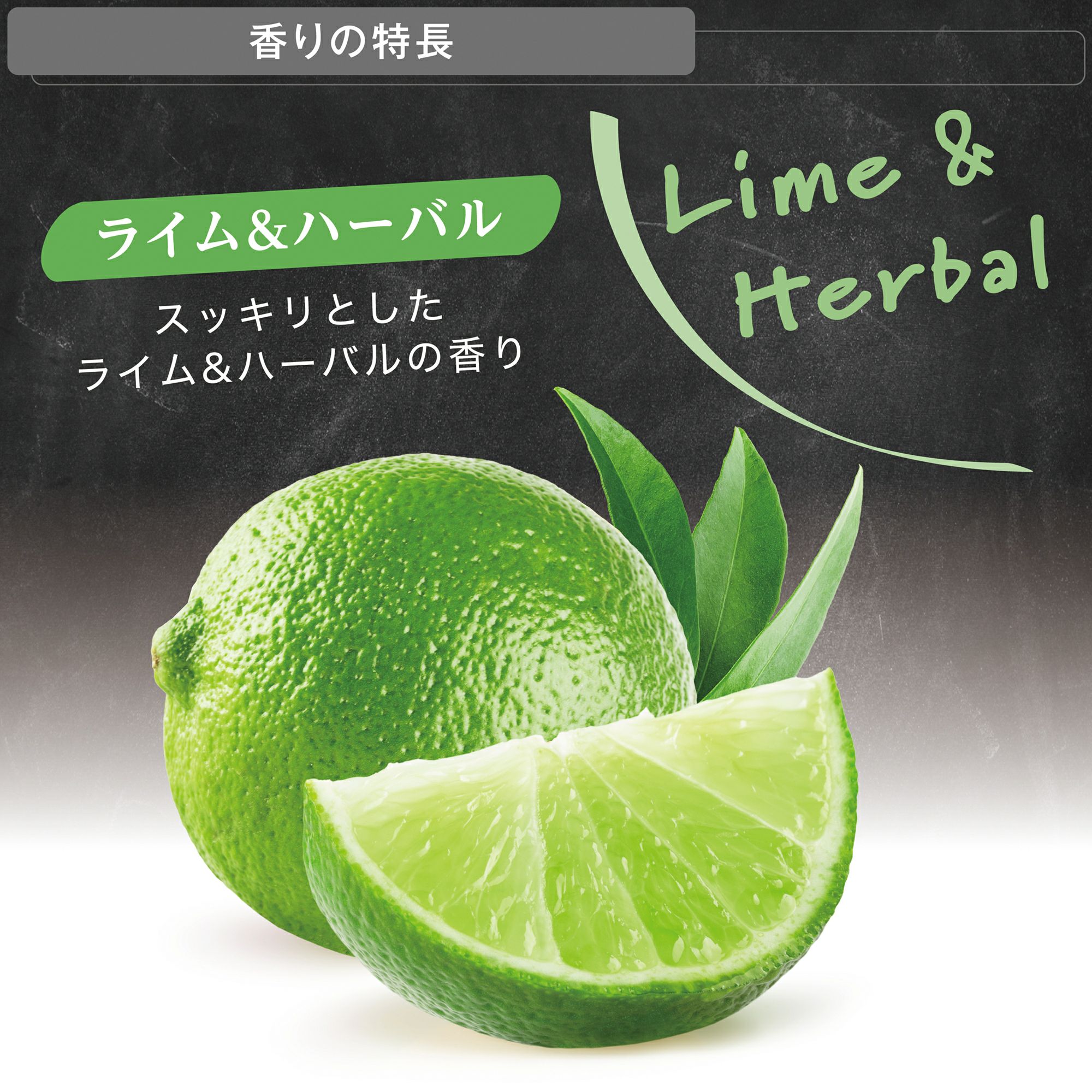H1703 ザ・フルーティー ペーパーフレグランス ライム＆ハーバル
