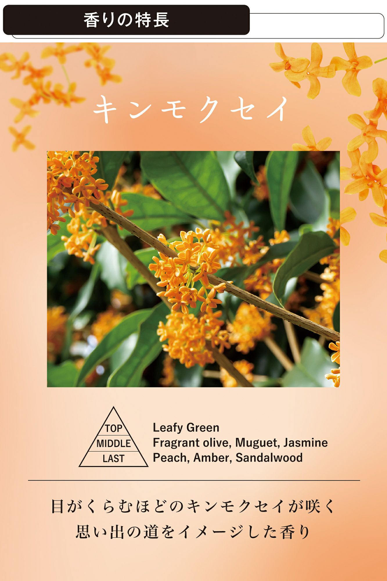 G897 ルーノ ゲル キンモクセイ | カーメイト 公式オンラインストア本店